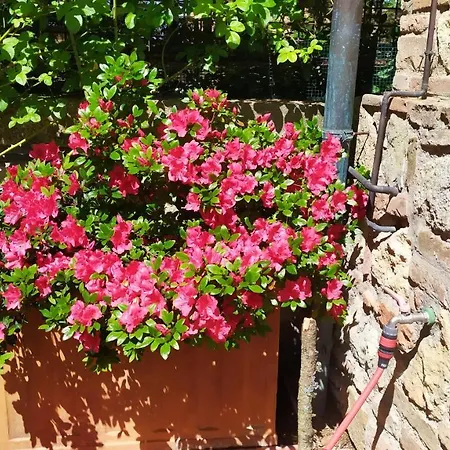 Il Giardino Della Fortezza Apartment