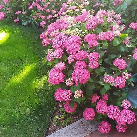 Il Giardino Della Fortezza *