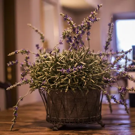 Apartamento Il Giardino Della Fortezza *