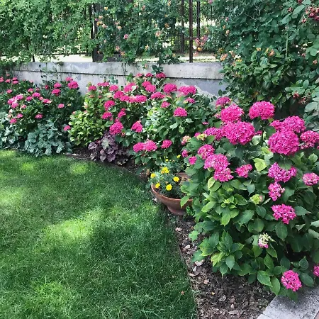 Il Giardino Della Fortezza Apartamento Montepulciano Stazione